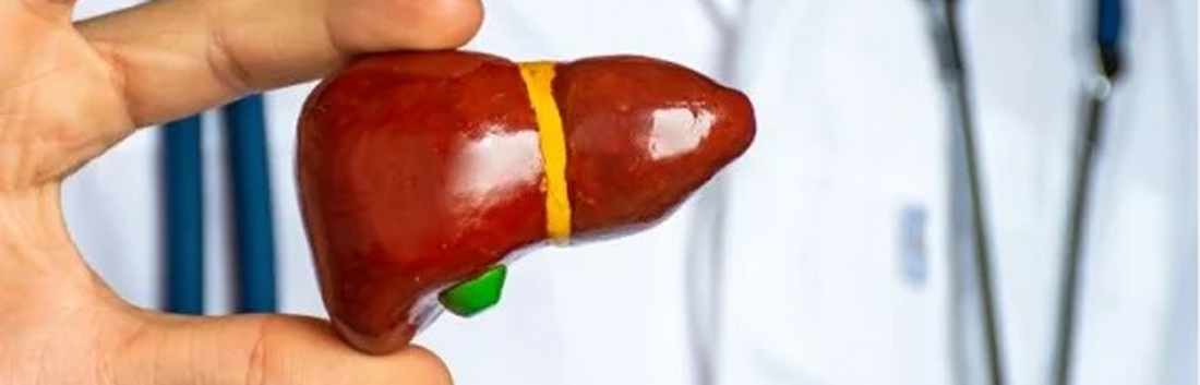 How Your Liver Supports Hormonal Balance Naturally